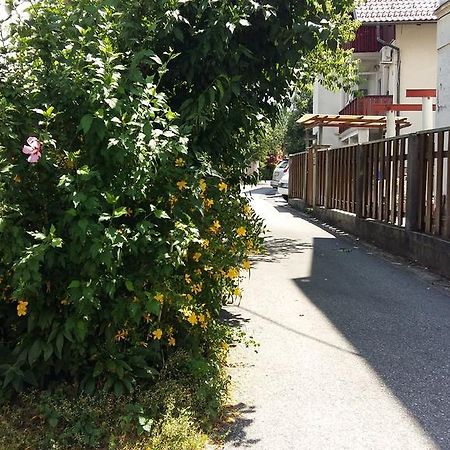 Sunflower Accommodation Ljubljana Dış mekan fotoğraf
