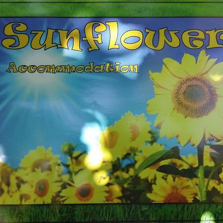 Sunflower Accommodation Ljubljana Dış mekan fotoğraf
