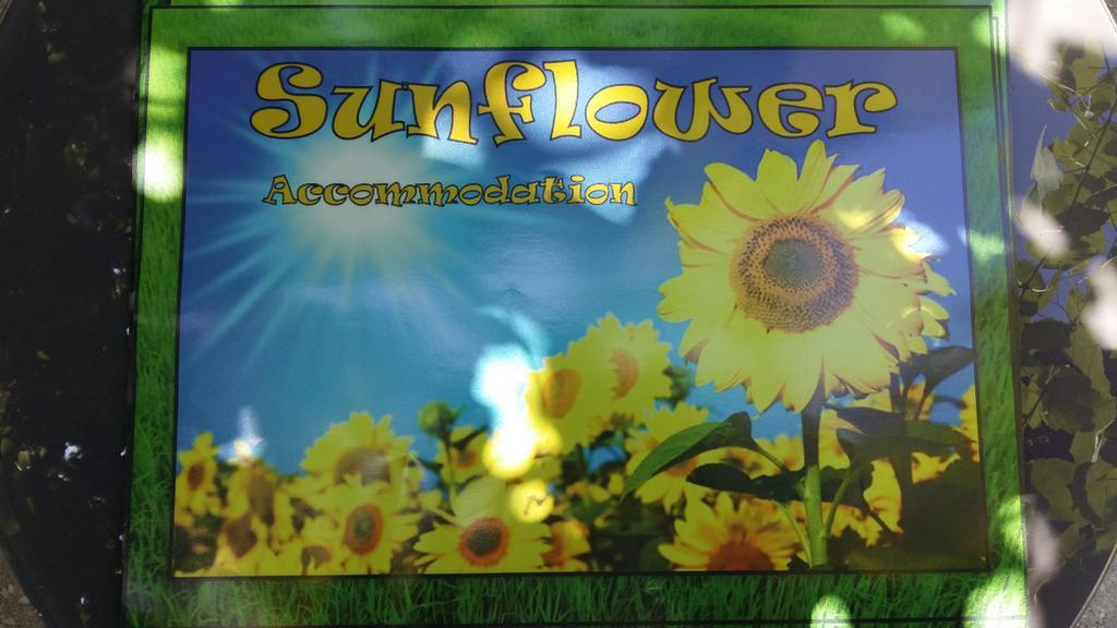 Sunflower Accommodation Ljubljana Dış mekan fotoğraf